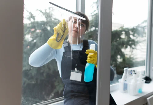 Nettoyage de vitres intérieures et extérieures à Mézilles